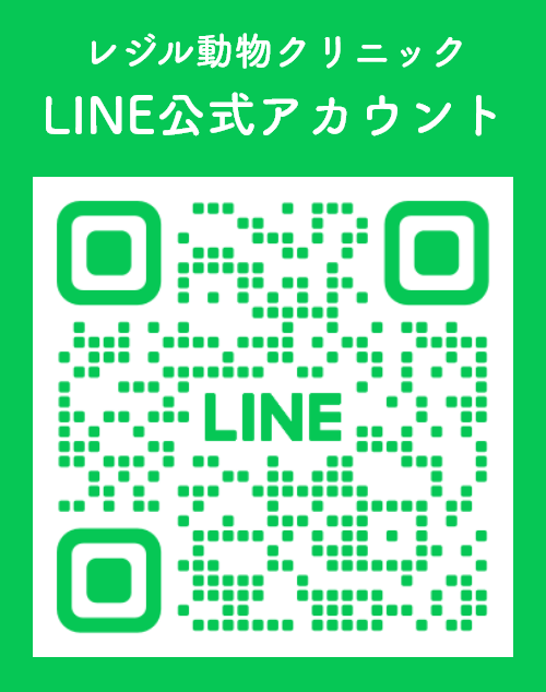 LINE公式アカウント